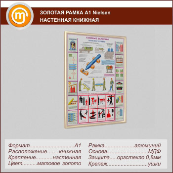 �������� ��������� ����� �Nielsen� �1 �������, �������, ������� ������