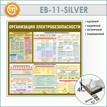 ����� ������������ ������������������� (EB-11-SILVER)