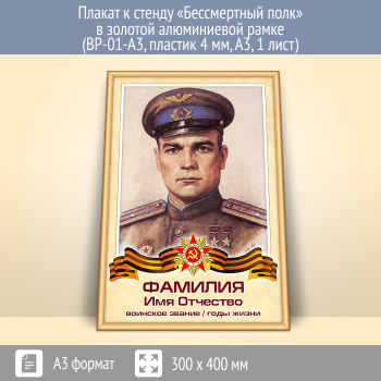 ������ � ������ ������������ ���� � ������� (�������) ����������� ����� (BP-01-A3, ������� 4 ��, �3, 1 ����)