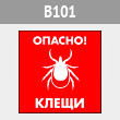 ���� �������! �����, B101 (������, 300�300 ��)